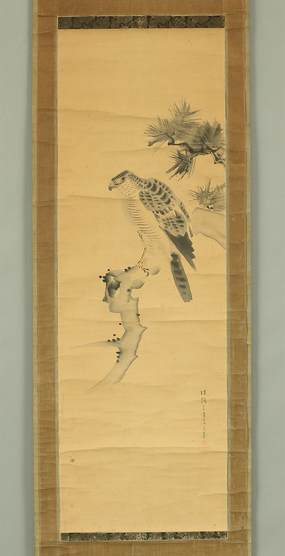 安達三楽斎元善 Adachi Sanrakusai Motoyoshi (b1791) Japanese antique art kakejiku kakemono wall hanging scroll / Hawk and Pine RB130 - Image 3