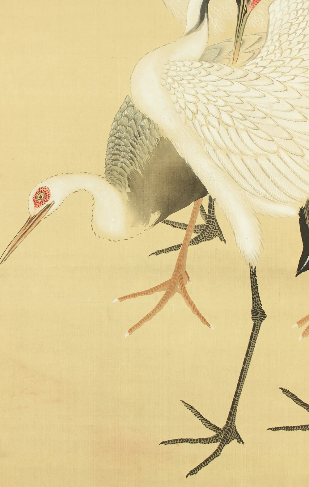 狩野伊川院栄信 Kano Isenin Naganobu (1775-1828) Japanese antique art a set of three kakejiku kakemono wall hanging scrolls / Queen Mother of the West 西王母 (Seioubo) Chinese Beautiful Woman in Mythology and Three Cranes Two Peafowl with Box RD126 - Image 11