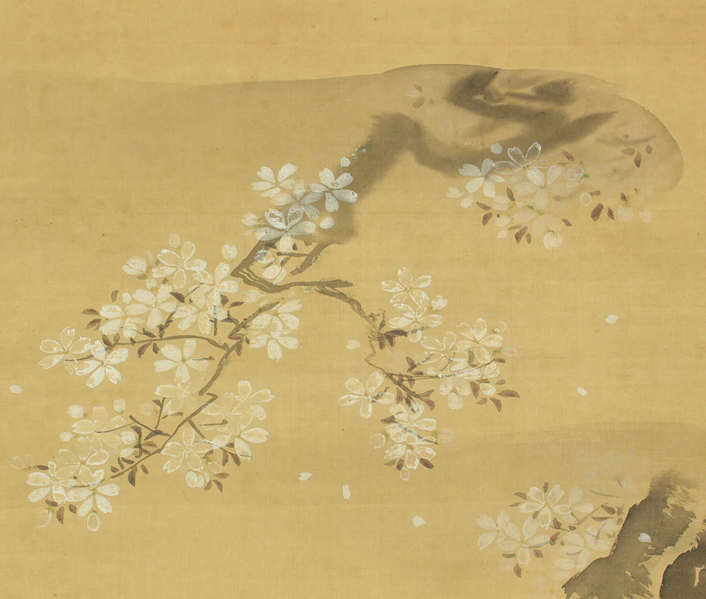 狩野洞春美信 Kano Doshun Yoshinobu (1747-1797) 加藤千蔭 Kato Chikage (1735-1808) Japanese antique art Paired kakejiku kakemono wall hanging scrolls / Cherry Blossoms and Poem with Box RD452 - Image 9