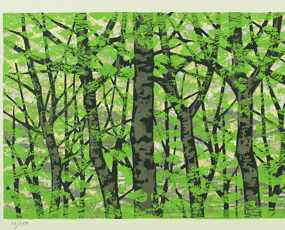 藤田不美夫 Fujita Fumio 1998 (Heisei 10) Japanese Original Woodblock Print Mebuku Mori B 芽吹く森 B (Budding Forest B) signed and numbered by the artist 36/150 NW306 - Image 3