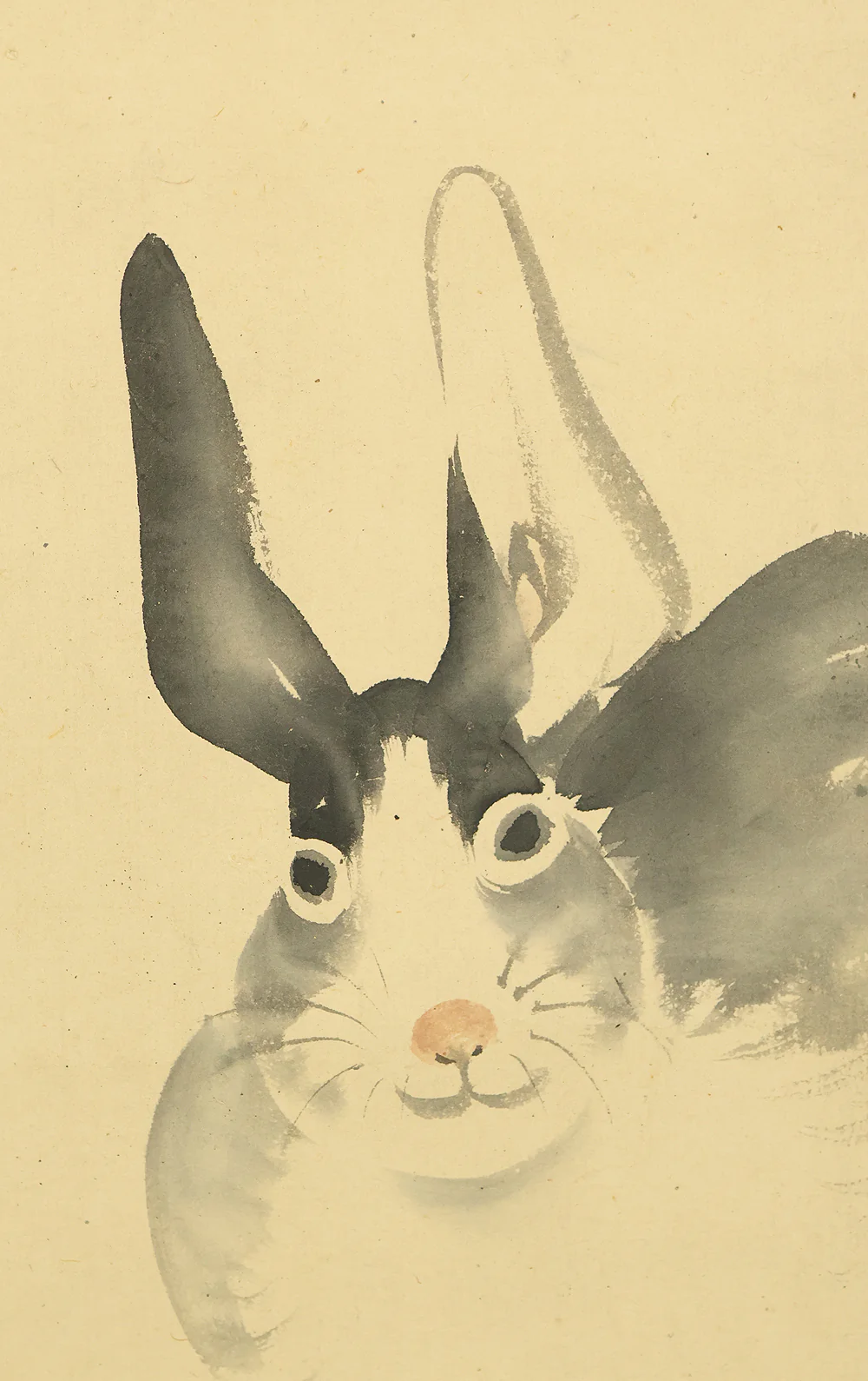 長谷川玉峰 Hasegawa Gyokuho (1822-1879) Japanese art kakejiku kakemono wall hanging scroll / Sitting Rabbit with Box RE263 - Image 6