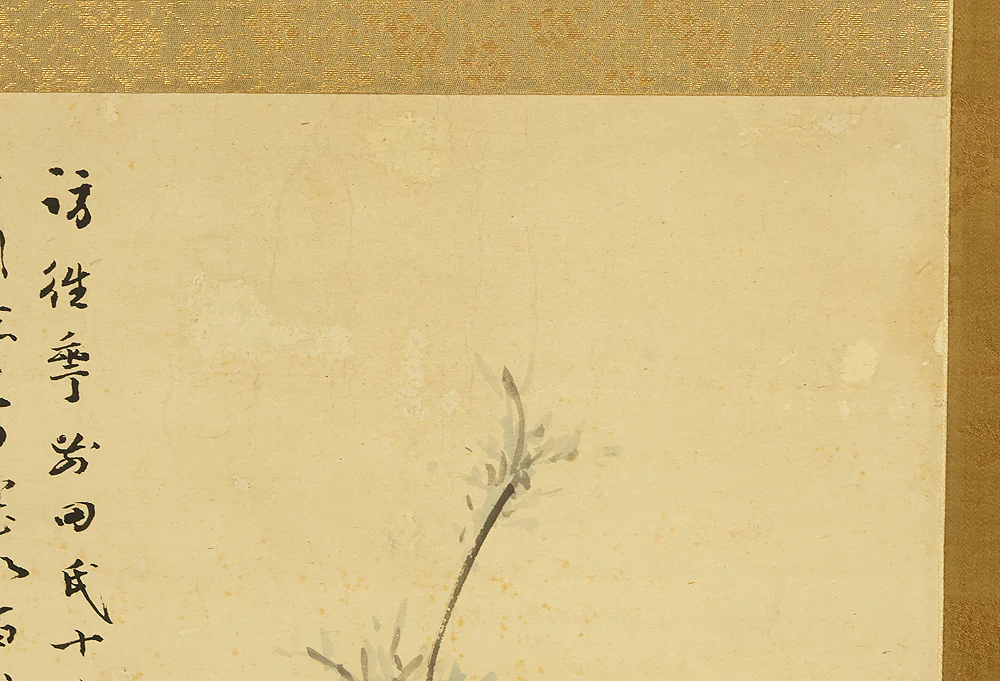 伊豆原麻谷 Izuhara Makoku (1778-1860) Japanese antique art kakejiku kakemono wall hanging scroll / Two Birds Perched on Plum Tree RE580 - Image 20