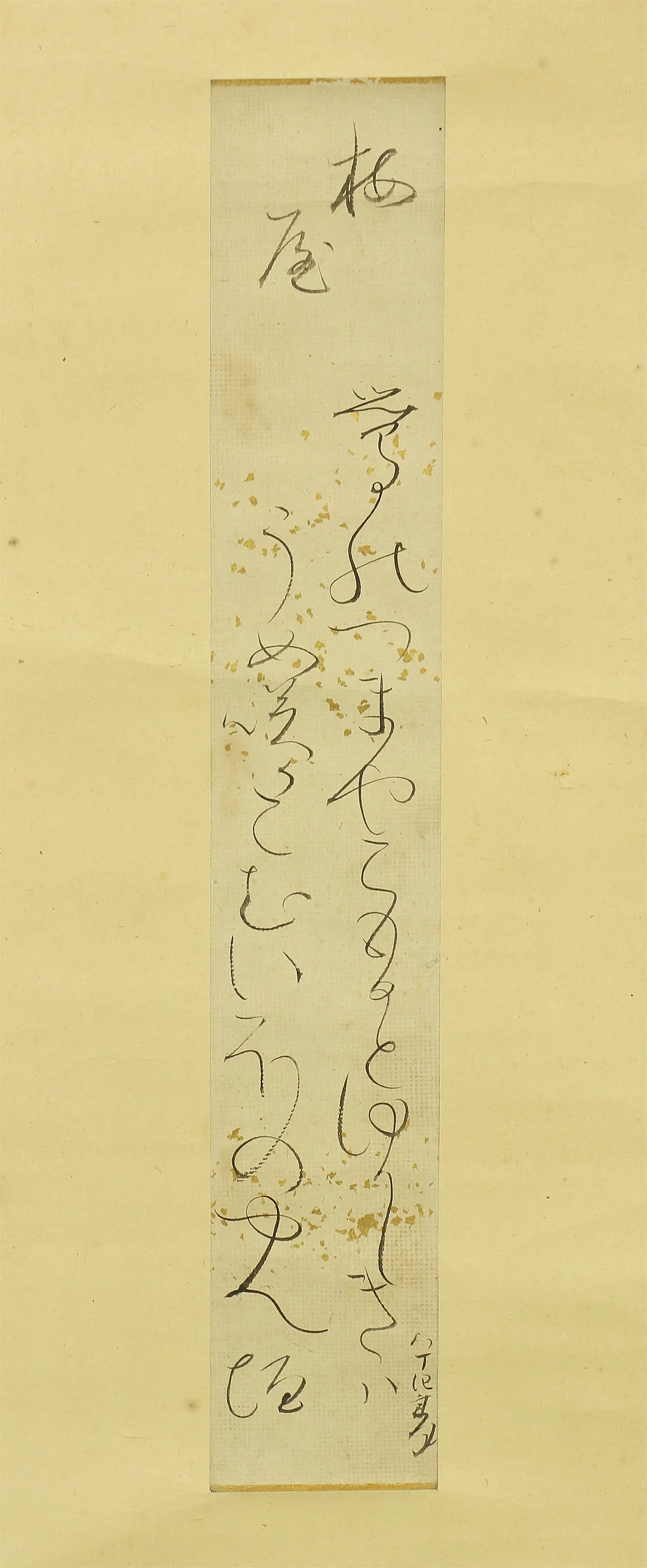 大田垣蓮月 Otagaki Rengetsu (1791-1875) Japanese antique art kakejiku kakemono wall hanging scroll / Tanzaku Waka Poem 鶯の ~ with Box RA792 - Image 4
