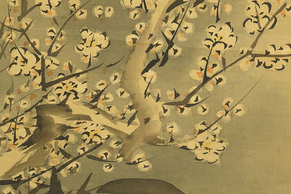 阿部董琳 Abe Torin (active 1800-1860) Japanese antique art kakejiku kakemono wall hanging scroll / Plum Tree at Night with Box RE449 - Image 12