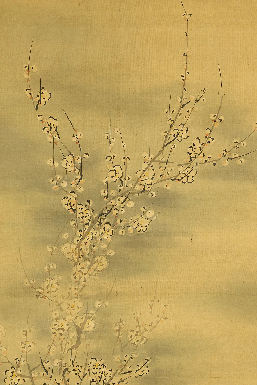 阿部董琳 Abe Torin (active 1800-1860) Japanese antique art kakejiku kakemono wall hanging scroll / Plum Tree at Night with Box RE449 - Image 5