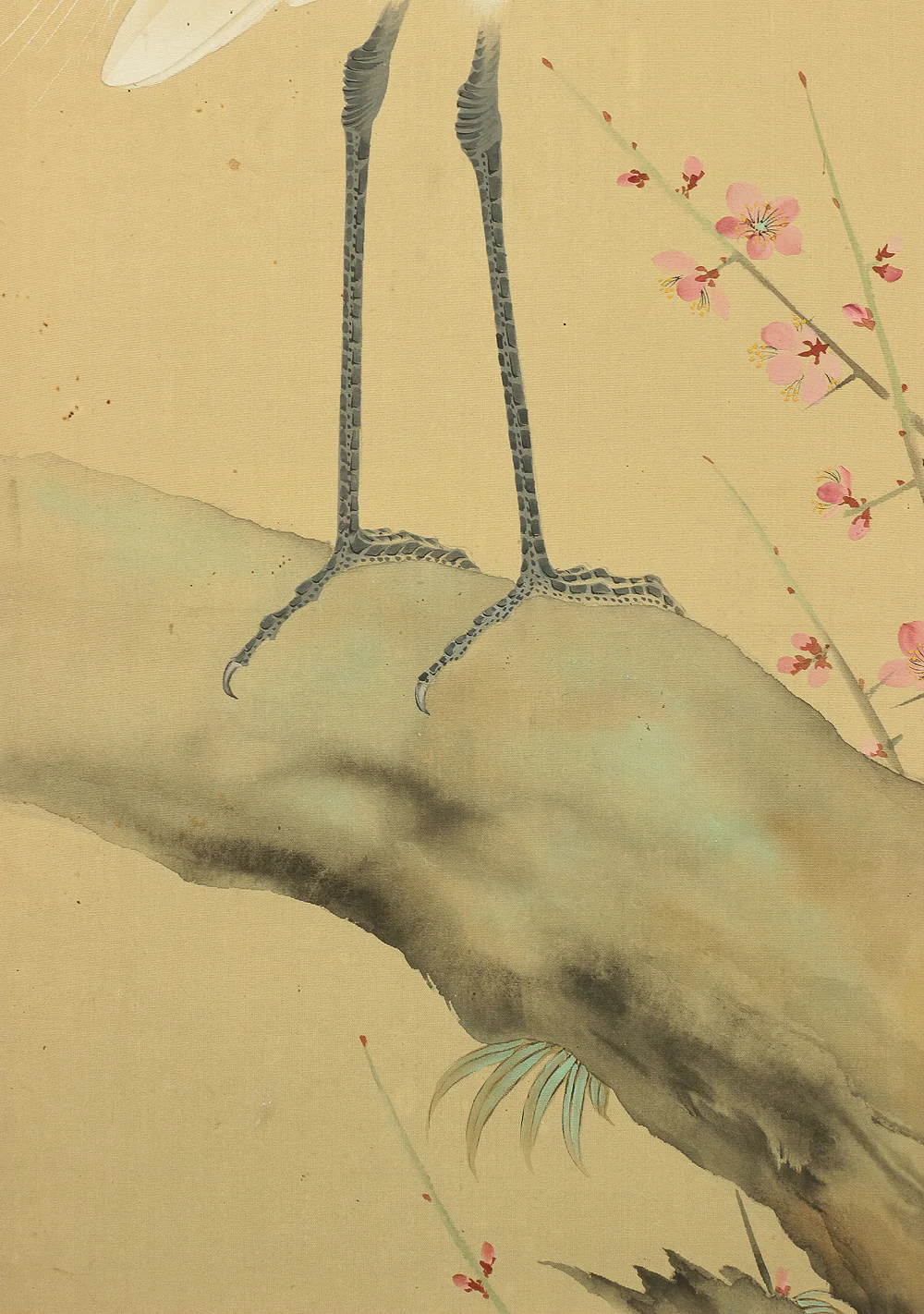 堂本印象 Domoto Insho Japanese art kakejiku kakemono wall hanging scroll / White Egret Heron on Plum Tree W962 - Image 12