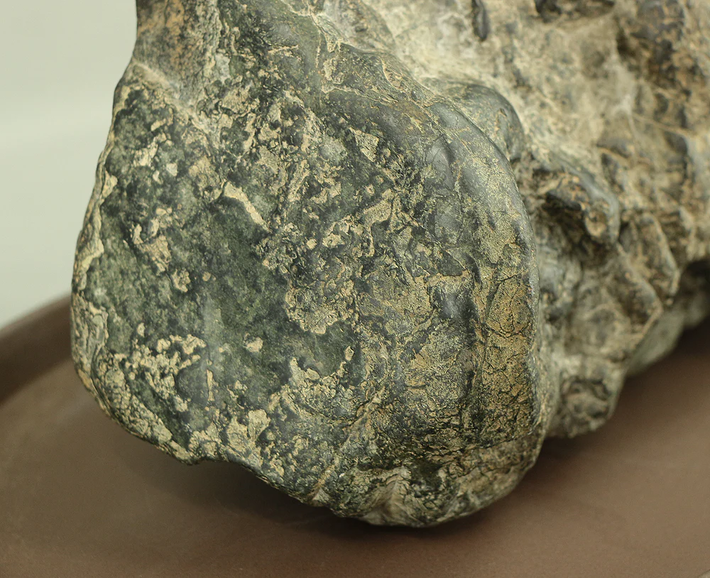 愛知川石 Echigawa Stone Japanese Viewing Stone Suiseki with Stand VA440 - Image 19