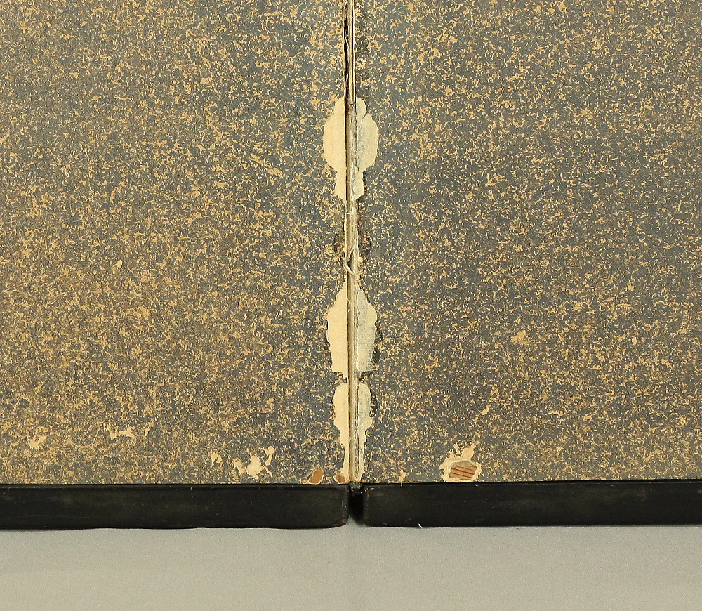 不動立山 Fudō Ritsuzan (1886-1975) Japanese Byobu Folding Screen Room divider 2 panels / Two Kimono Beautiful Women, White Bush Clovers, and Narcissus VA213 - Image 32