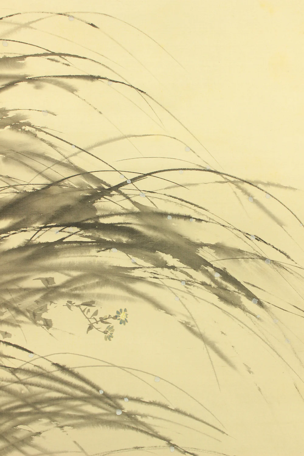 深田直城 Fukada Chokujo (1861-1947) Japanese art kakejiku kakemono wall hanging scroll / Moonlit Quail and Autumn Wildflowers with Original Box (Tomobako) RD611 - Image 7