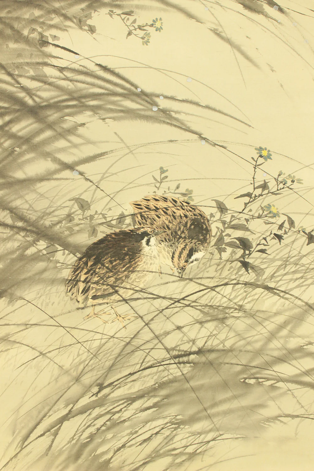 深田直城 Fukada Chokujo (1861-1947) Japanese art kakejiku kakemono wall hanging scroll / Moonlit Quail and Autumn Wildflowers with Original Box (Tomobako) RD611 - Image 9