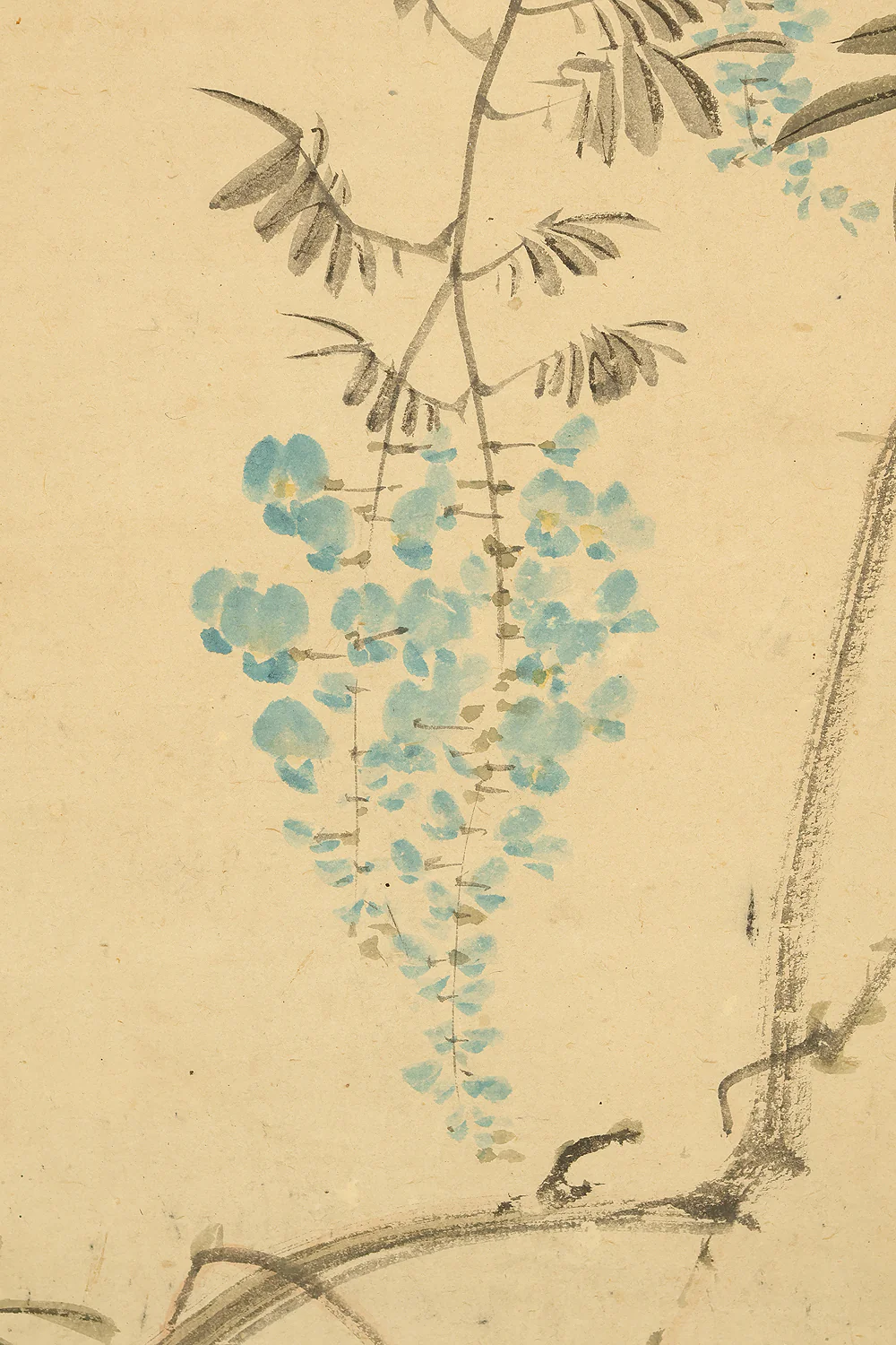 古市金峨 Furuichi Kinga (1805-1880) 岡本金波 Okamoto Kinpa (1823-1896) Japanese art Paired kakejiku kakemono wall hanging scrolls / Collaboration work - Java Sparrow, Spring Wisteria Flowers Autumn Silver Grass with Box RE607 - Image 11