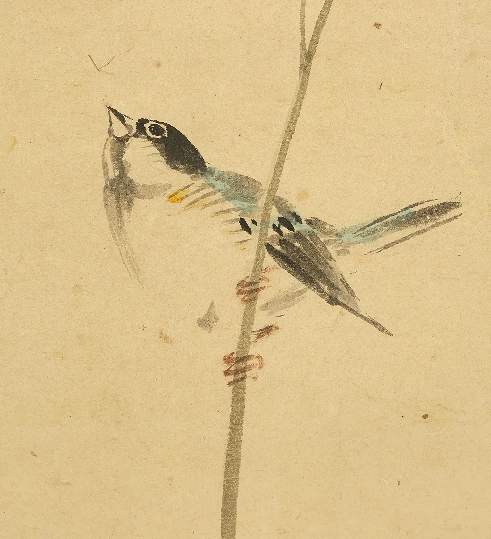 古市金峨 Furuichi Kinga (1805-1880) 岡本金波 Okamoto Kinpa (1823-1896) Japanese art Paired kakejiku kakemono wall hanging scrolls / Collaboration work - Java Sparrow, Spring Wisteria Flowers Autumn Silver Grass with Box RE607 - Image 22