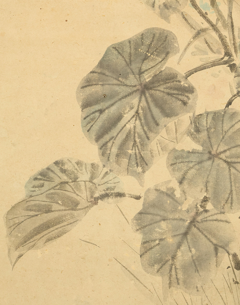 古市金峨 Furuichi Kinga (1805-1880) 岡本金波 Okamoto Kinpa (1823-1896) Japanese art Paired kakejiku kakemono wall hanging scrolls / Collaboration work - Java Sparrow, Spring Wisteria Flowers Autumn Silver Grass with Box RE607 - Image 25
