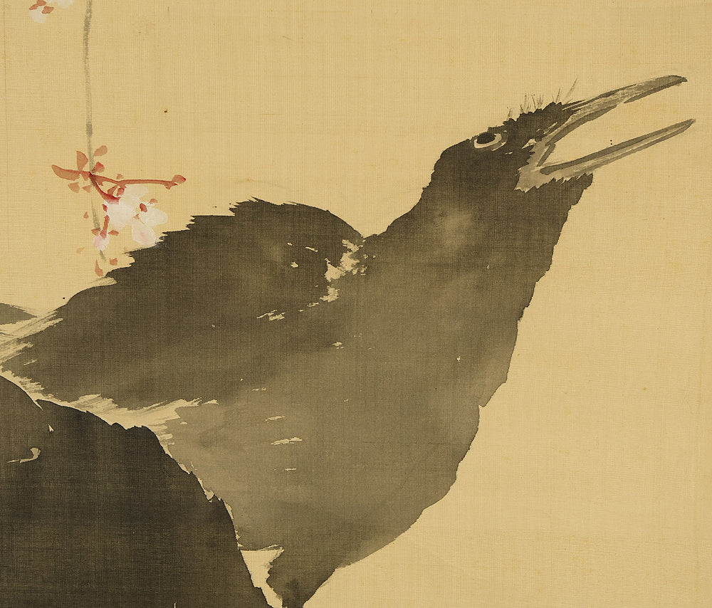 萩尾九皐 Hagio Kyuko (1862-1922) Japanese antique art kakejiku kakemono wall hanging scroll / Weeping Cherry Blossoms and Two Crows with Box RE922 - Image 12