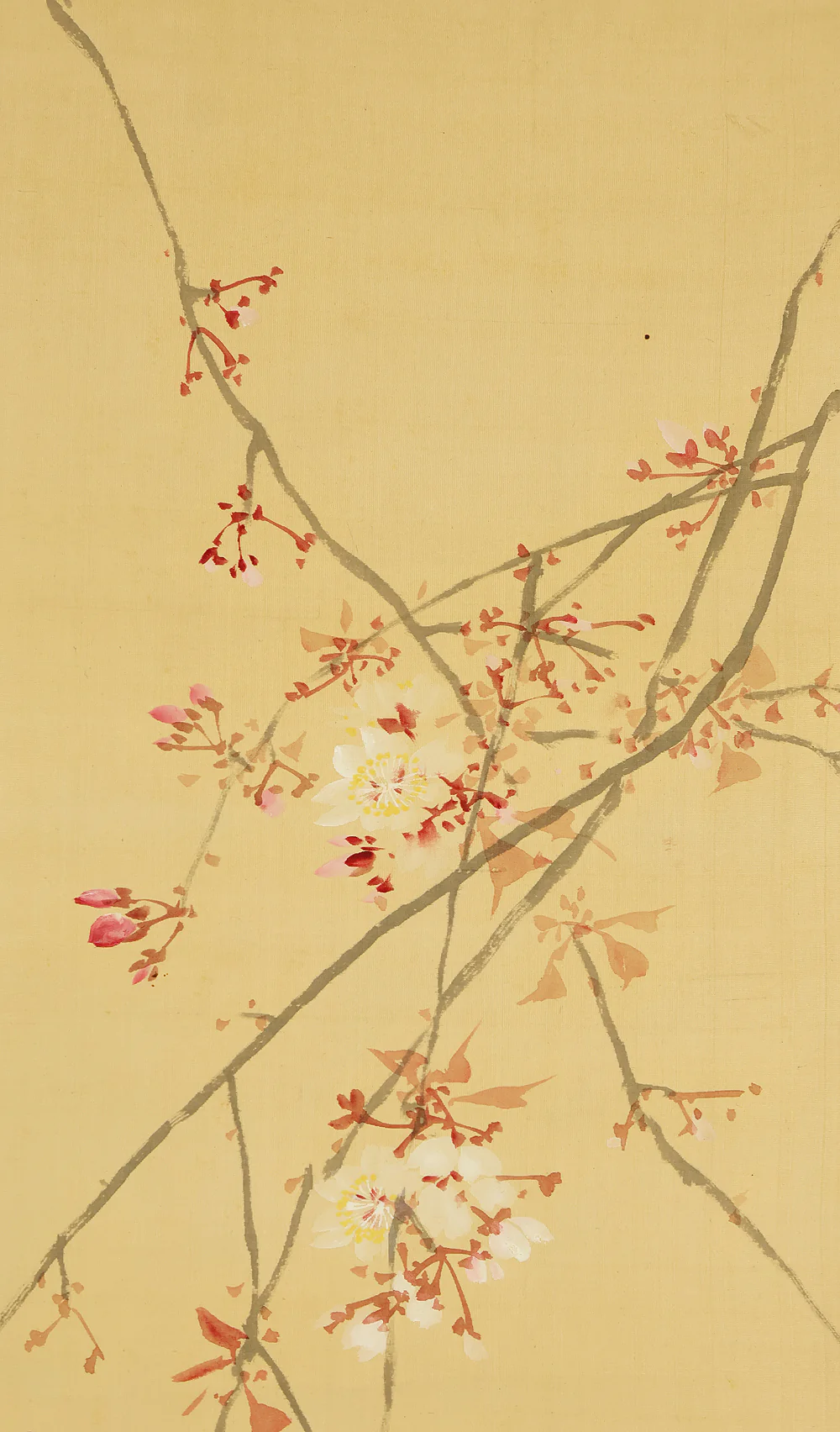 萩尾九皐 Hagio Kyuko (1862-1922) Japanese antique art kakejiku kakemono wall hanging scroll / Weeping Cherry Blossoms and Two Crows with Box RE922 - Image 6