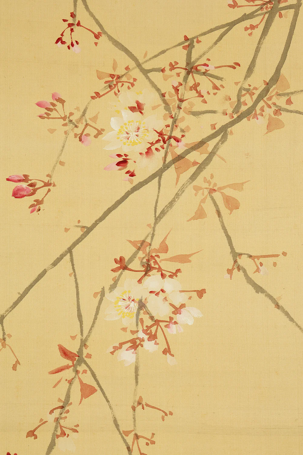 萩尾九皐 Hagio Kyuko (1862-1922) Japanese antique art kakejiku kakemono wall hanging scroll / Weeping Cherry Blossoms and Two Crows with Box RE922 - Image 7