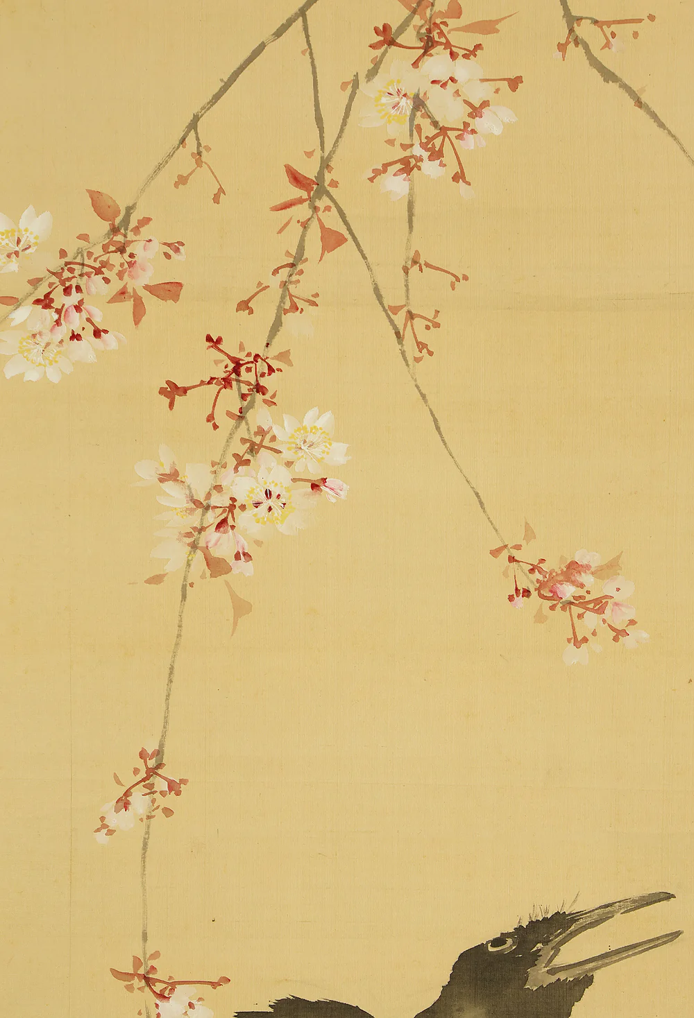 萩尾九皐 Hagio Kyuko (1862-1922) Japanese antique art kakejiku kakemono wall hanging scroll / Weeping Cherry Blossoms and Two Crows with Box RE922 - Image 8