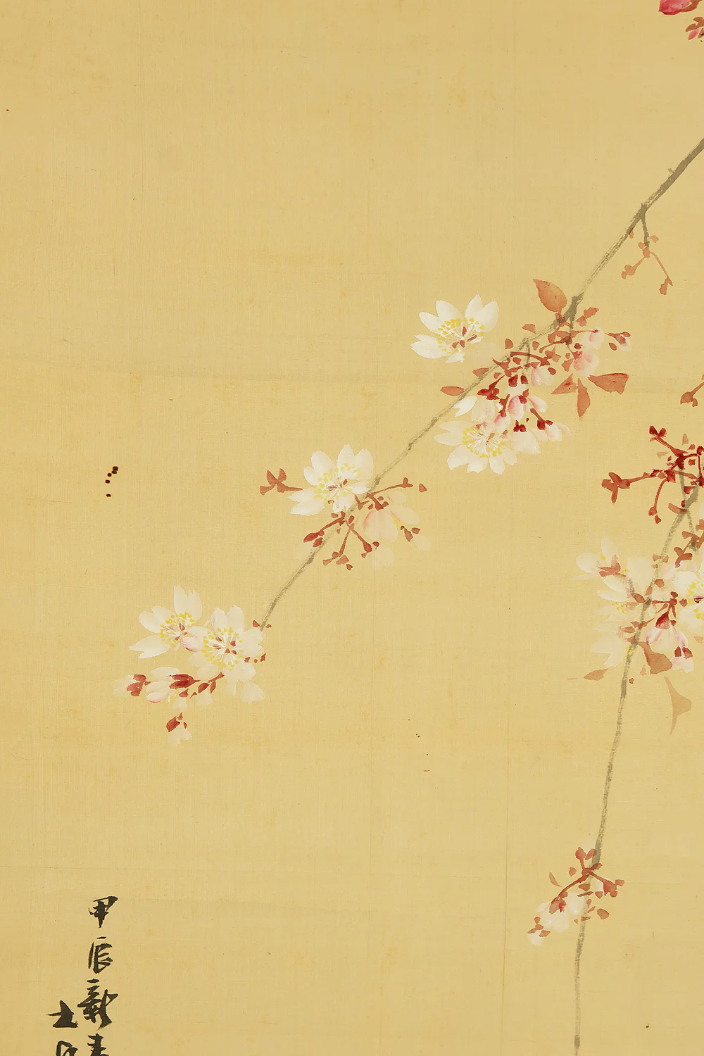 萩尾九皐 Hagio Kyuko (1862-1922) Japanese antique art kakejiku kakemono wall hanging scroll / Weeping Cherry Blossoms and Two Crows with Box RE922 - Image 9