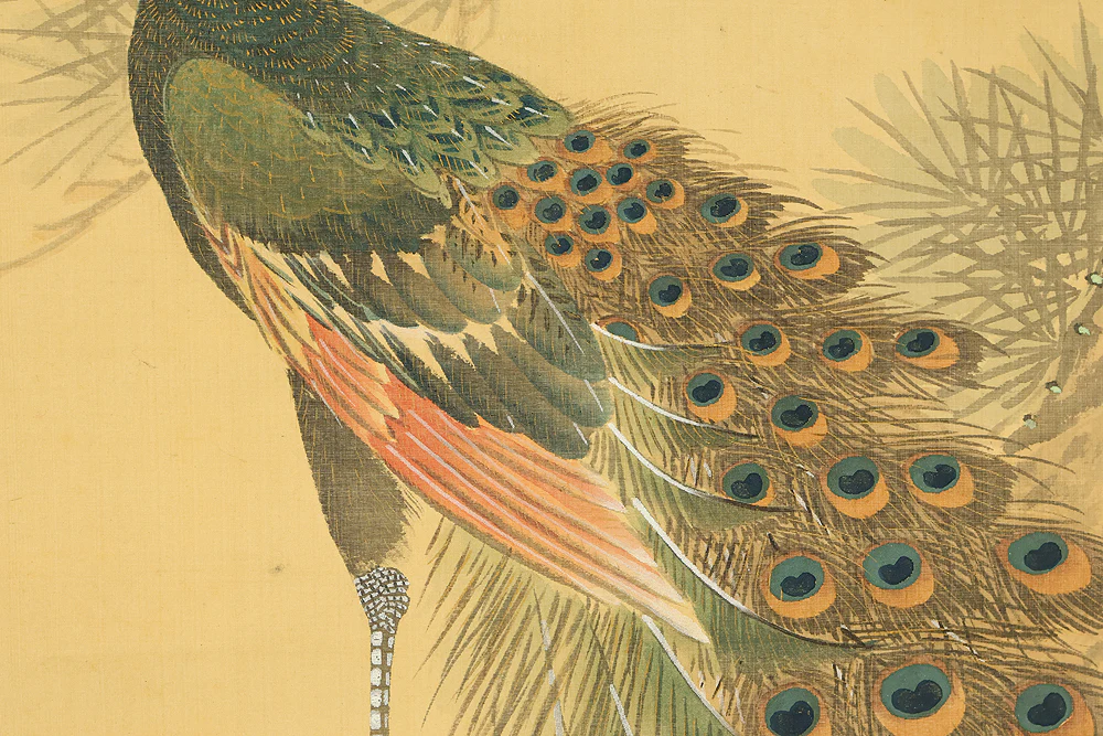 羽様西崕 Hazama Seigai (1811-1878) Japanese antique art kakejiku kakemono wall hanging scroll / Peafowl Pine Tree and Rose with Box RE941 - Image 10