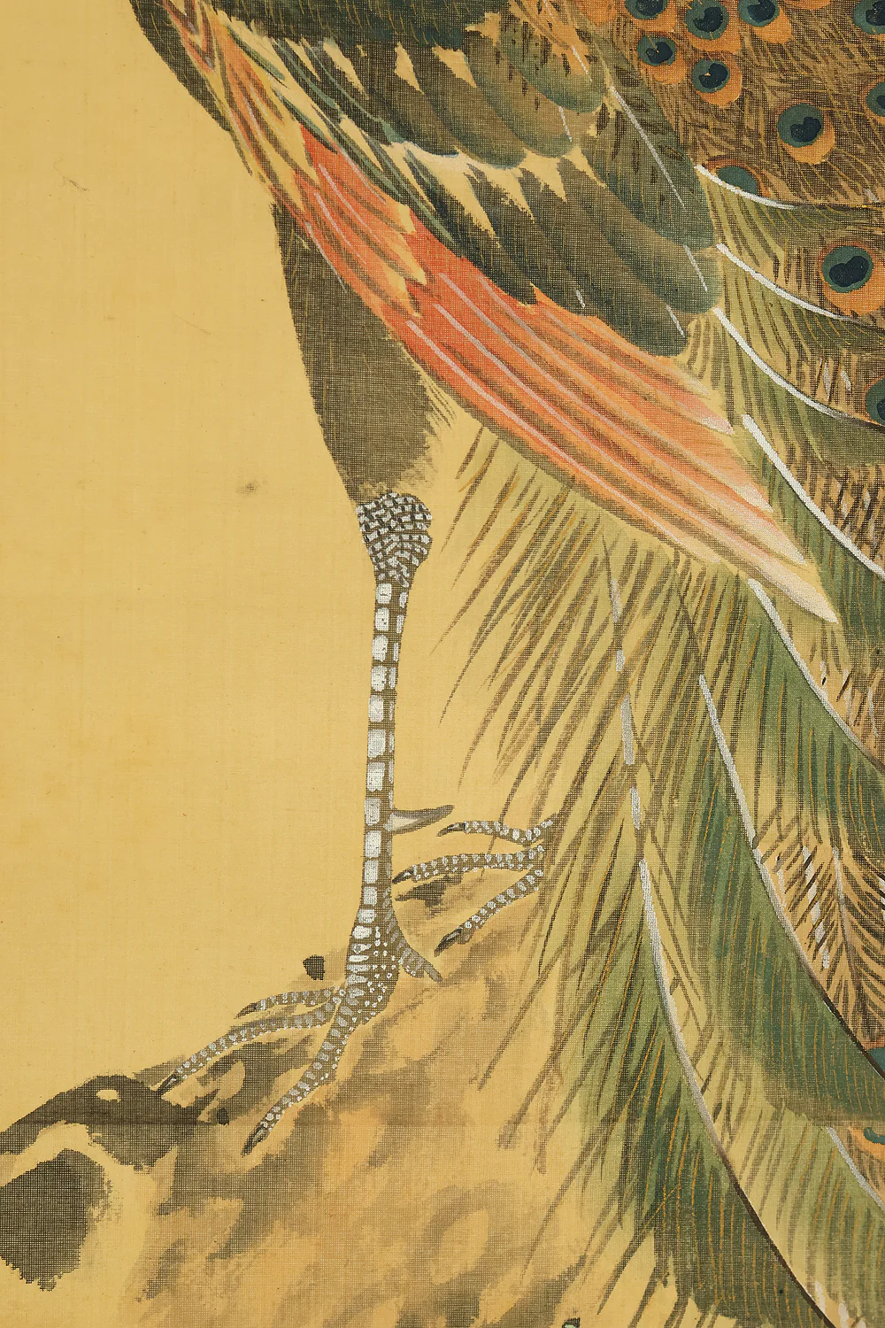 羽様西崕 Hazama Seigai (1811-1878) Japanese antique art kakejiku kakemono wall hanging scroll / Peafowl Pine Tree and Rose with Box RE941 - Image 11