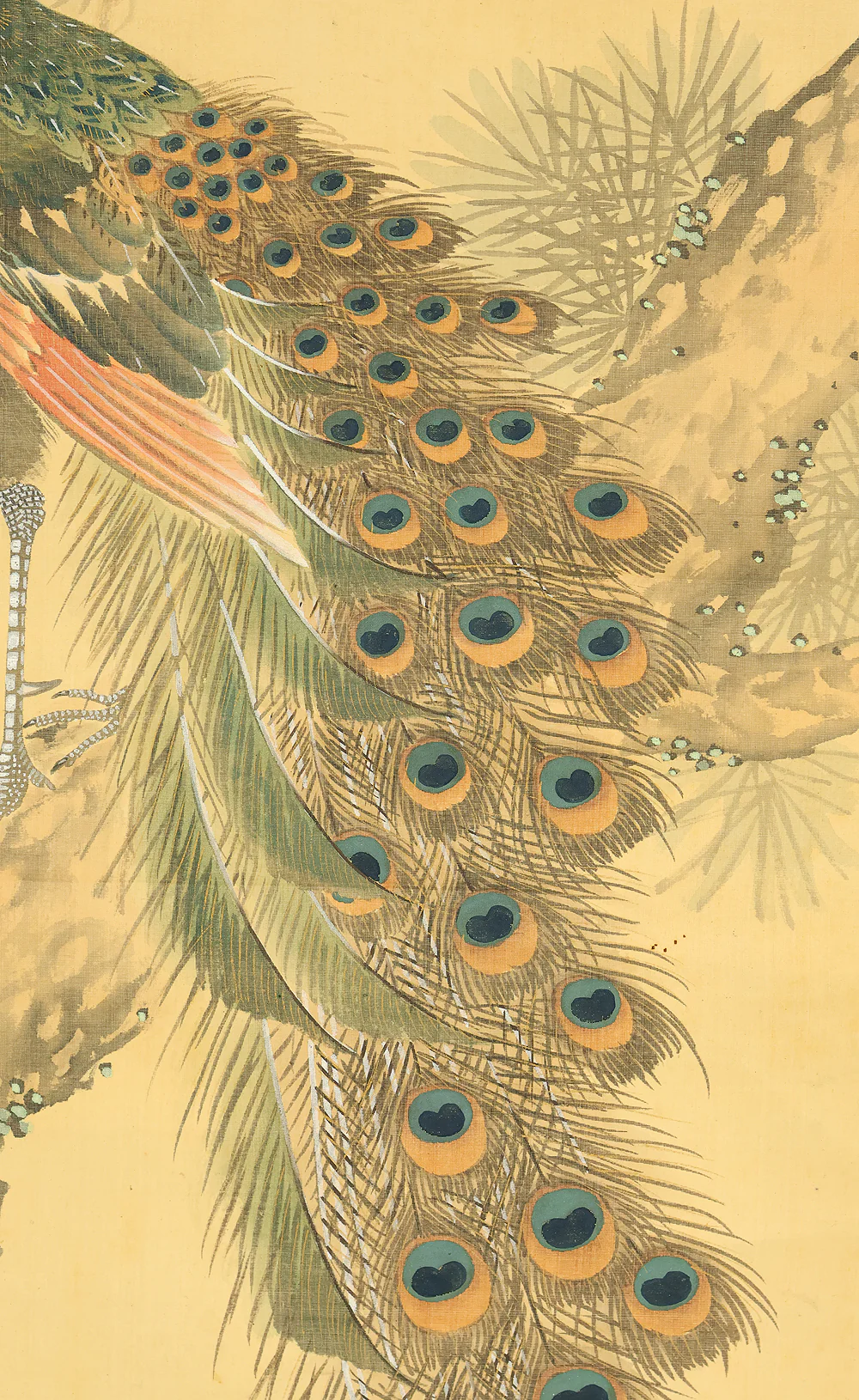 羽様西崕 Hazama Seigai (1811-1878) Japanese antique art kakejiku kakemono wall hanging scroll / Peafowl Pine Tree and Rose with Box RE941 - Image 12