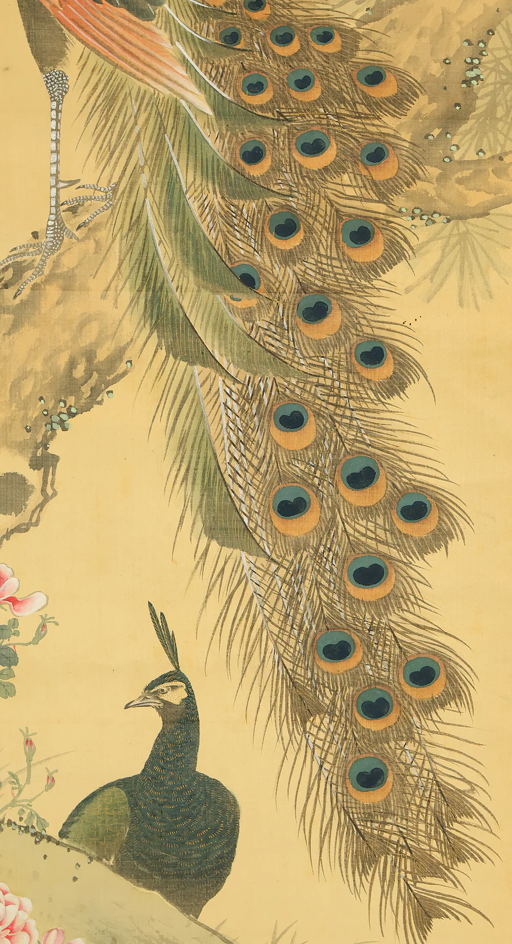 羽様西崕 Hazama Seigai (1811-1878) Japanese antique art kakejiku kakemono wall hanging scroll / Peafowl Pine Tree and Rose with Box RE941 - Image 13