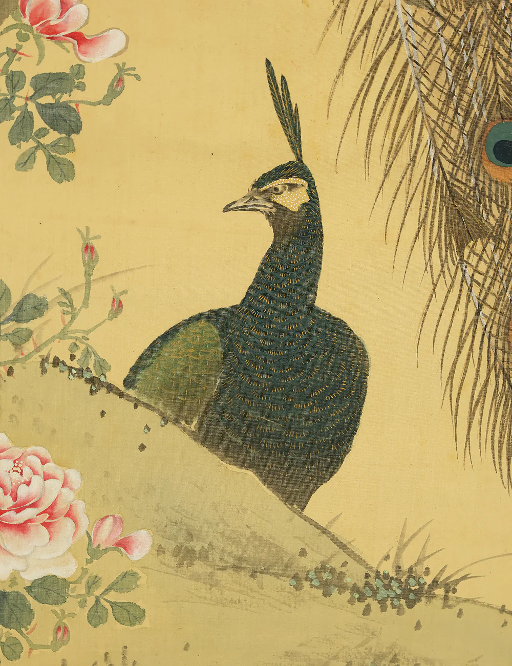 羽様西崕 Hazama Seigai (1811-1878) Japanese antique art kakejiku kakemono wall hanging scroll / Peafowl Pine Tree and Rose with Box RE941 - Image 16