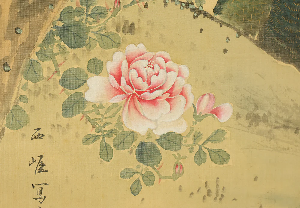 羽様西崕 Hazama Seigai (1811-1878) Japanese antique art kakejiku kakemono wall hanging scroll / Peafowl Pine Tree and Rose with Box RE941 - Image 18