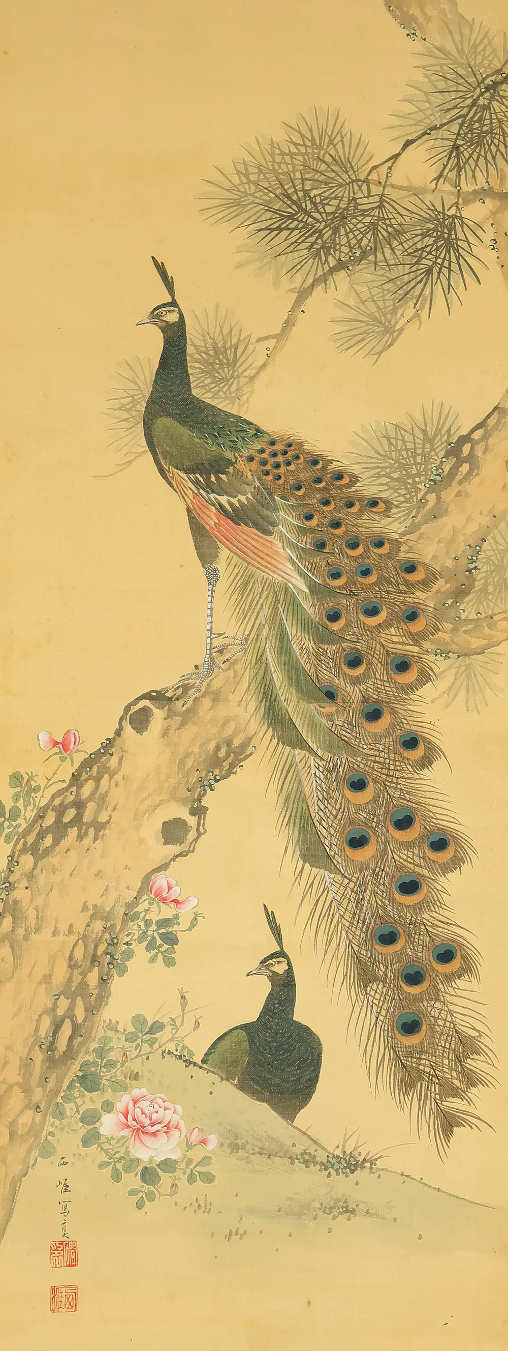羽様西崕 Hazama Seigai (1811-1878) Japanese antique art kakejiku kakemono wall hanging scroll / Peafowl Pine Tree and Rose with Box RE941 - Image 4