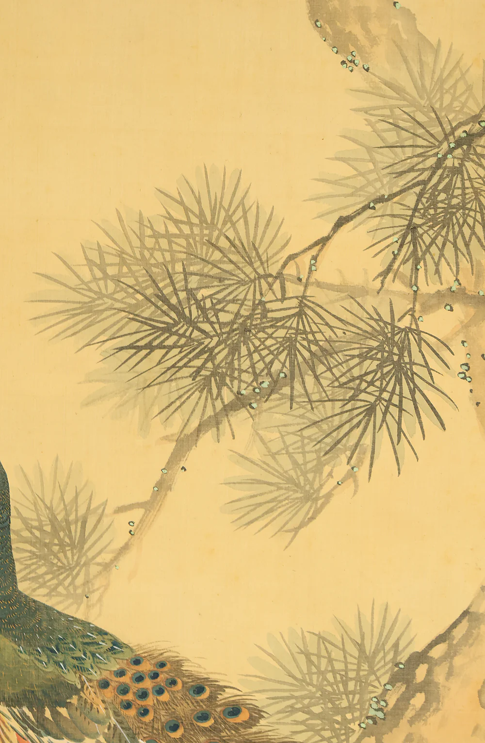 羽様西崕 Hazama Seigai (1811-1878) Japanese antique art kakejiku kakemono wall hanging scroll / Peafowl Pine Tree and Rose with Box RE941 - Image 6