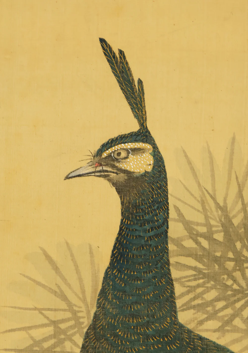 羽様西崕 Hazama Seigai (1811-1878) Japanese antique art kakejiku kakemono wall hanging scroll / Peafowl Pine Tree and Rose with Box RE941 - Image 8