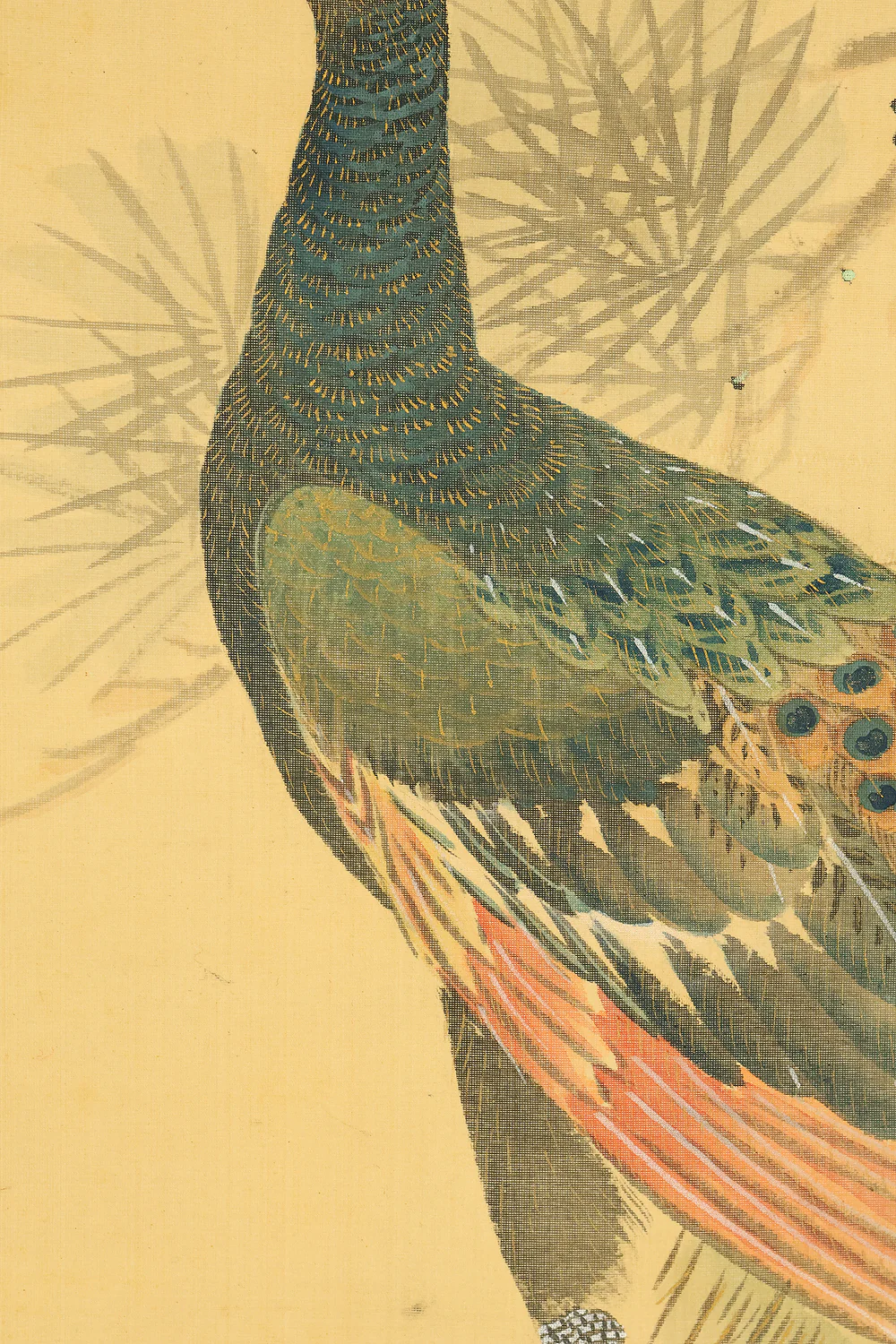 羽様西崕 Hazama Seigai (1811-1878) Japanese antique art kakejiku kakemono wall hanging scroll / Peafowl Pine Tree and Rose with Box RE941 - Image 9