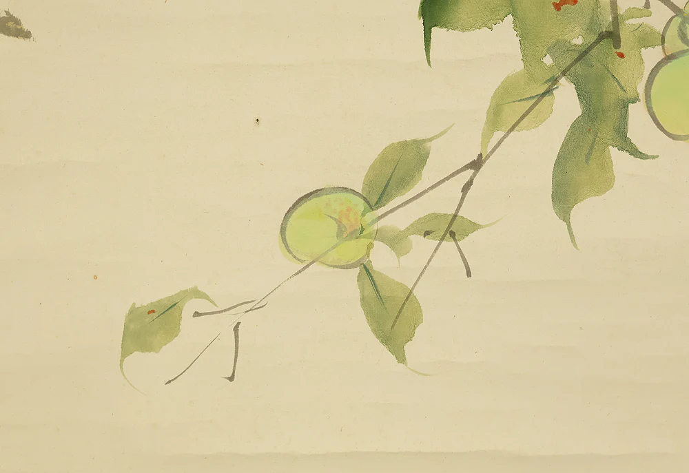 東原方僊 Higashihara Hosen (1886-1972) Japanese art kakejiku kakemono wall hanging scroll / Sparrows and Green Plums with Original Box (Tomobako) RE223 - Image 11