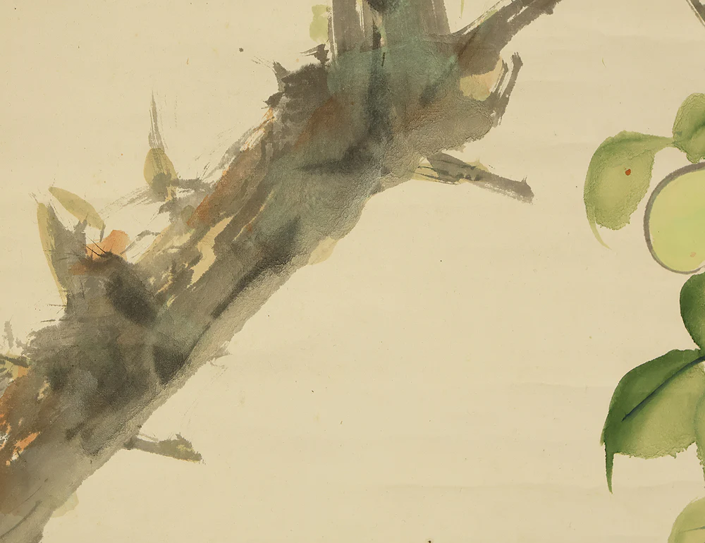東原方僊 Higashihara Hosen (1886-1972) Japanese art kakejiku kakemono wall hanging scroll / Sparrows and Green Plums with Original Box (Tomobako) RE223 - Image 15