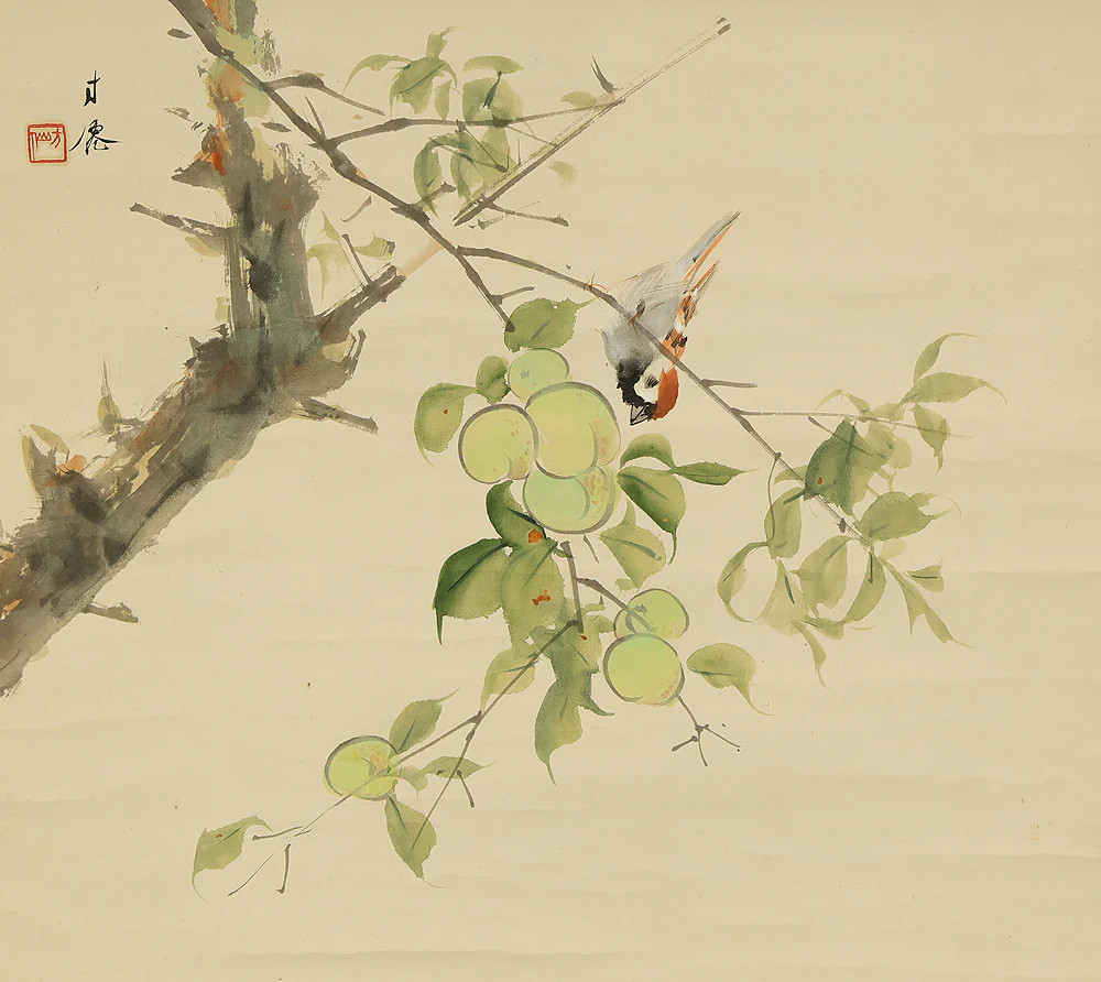 東原方僊 Higashihara Hosen (1886-1972) Japanese art kakejiku kakemono wall hanging scroll / Sparrows and Green Plums with Original Box (Tomobako) RE223 - Image 4
