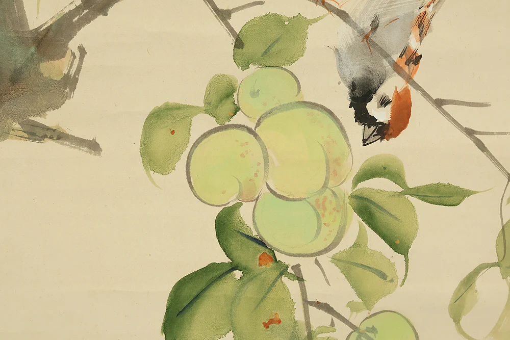 東原方僊 Higashihara Hosen (1886-1972) Japanese art kakejiku kakemono wall hanging scroll / Sparrows and Green Plums with Original Box (Tomobako) RE223 - Image 9