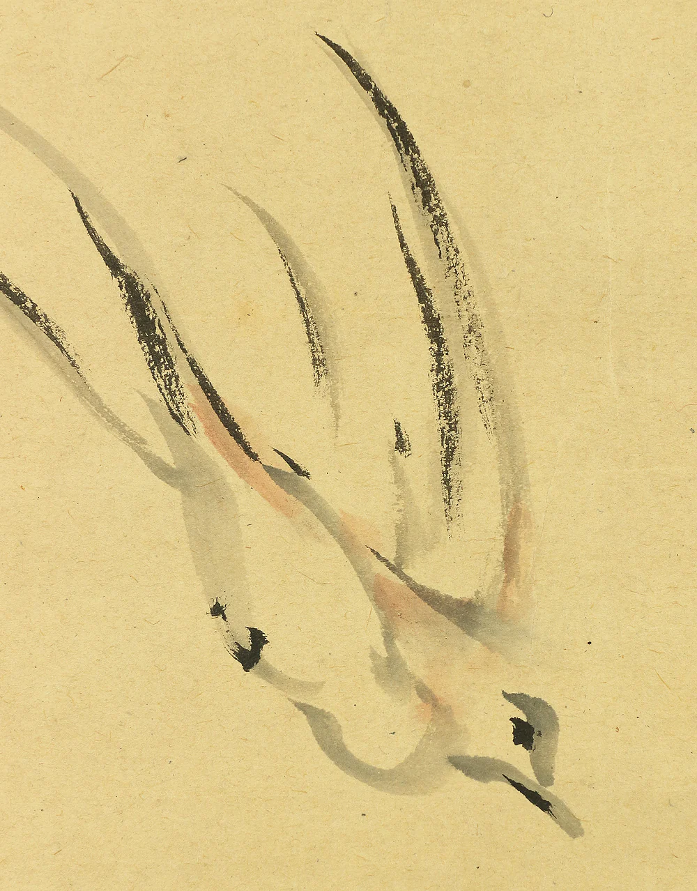 日根対山 Hine Taizan (1813-1869) Japanese antique art kakejiku kakemono wall hanging scroll / Two Swallows and Willow with Box RA661 - Image 10