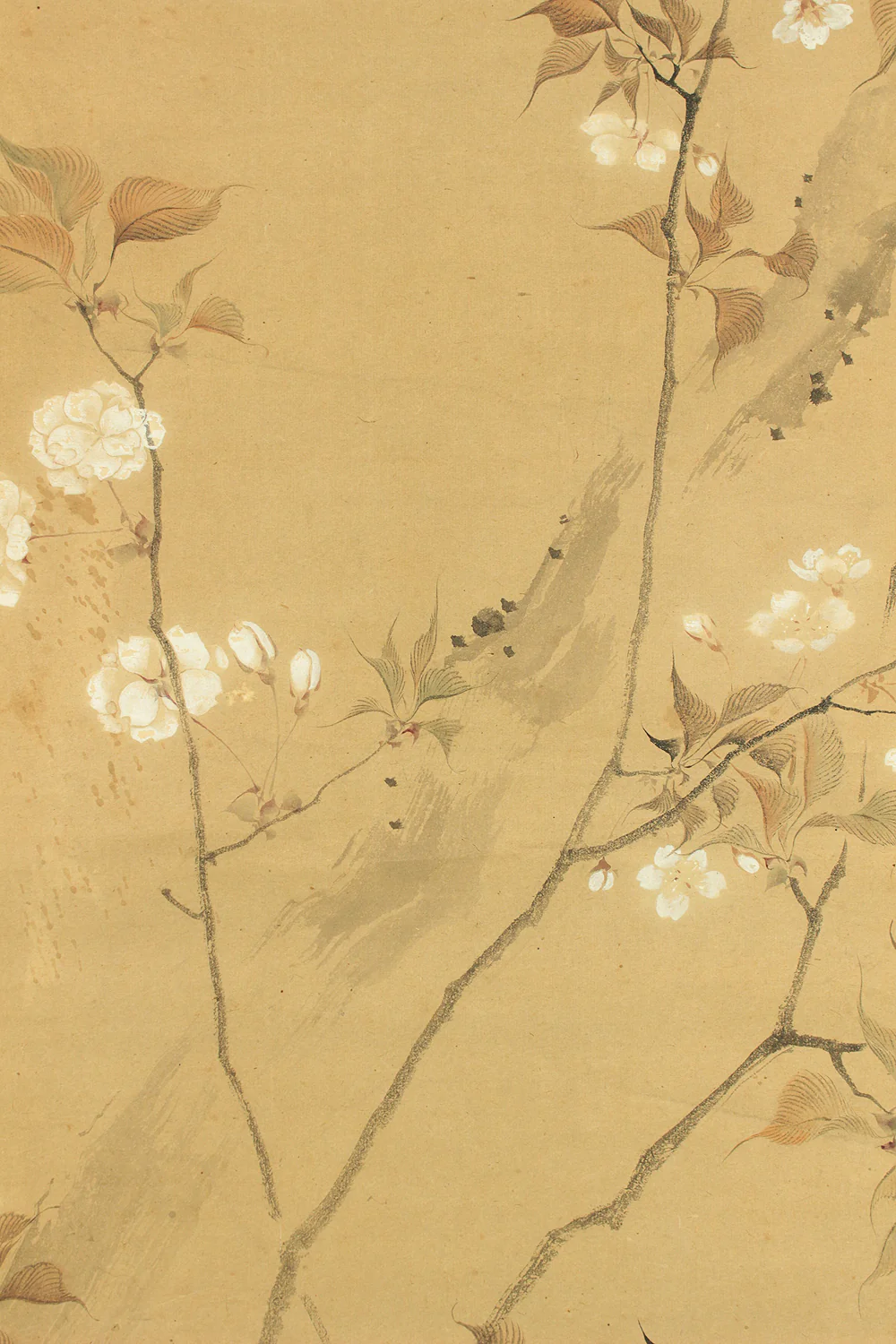 堀江有聲 Horie Yusei (1802-1873) Japanese antique art kakejiku kakemono wall hanging scroll / Cherry Blossoms Fifth Bloom with Box RD424 - Image 11
