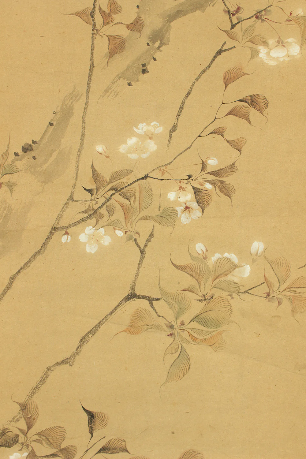 堀江有聲 Horie Yusei (1802-1873) Japanese antique art kakejiku kakemono wall hanging scroll / Cherry Blossoms Fifth Bloom with Box RD424 - Image 12