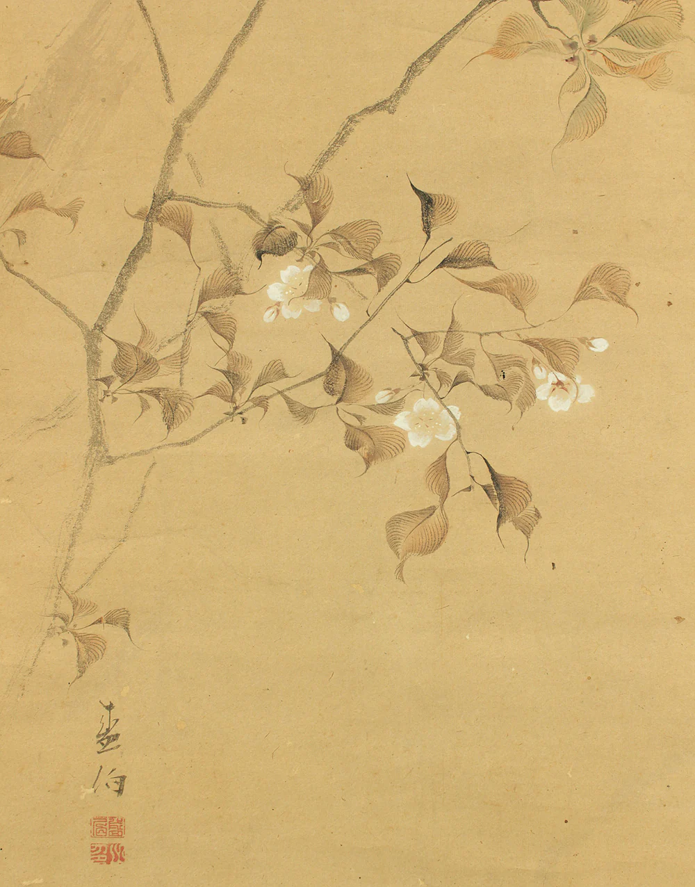 堀江有聲 Horie Yusei (1802-1873) Japanese antique art kakejiku kakemono wall hanging scroll / Cherry Blossoms Fifth Bloom with Box RD424 - Image 13