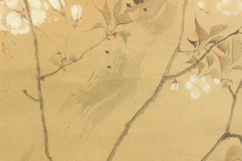 堀江有聲 Horie Yusei (1802-1873) Japanese antique art kakejiku kakemono wall hanging scroll / Cherry Blossoms Fifth Bloom with Box RD424 - Image 16