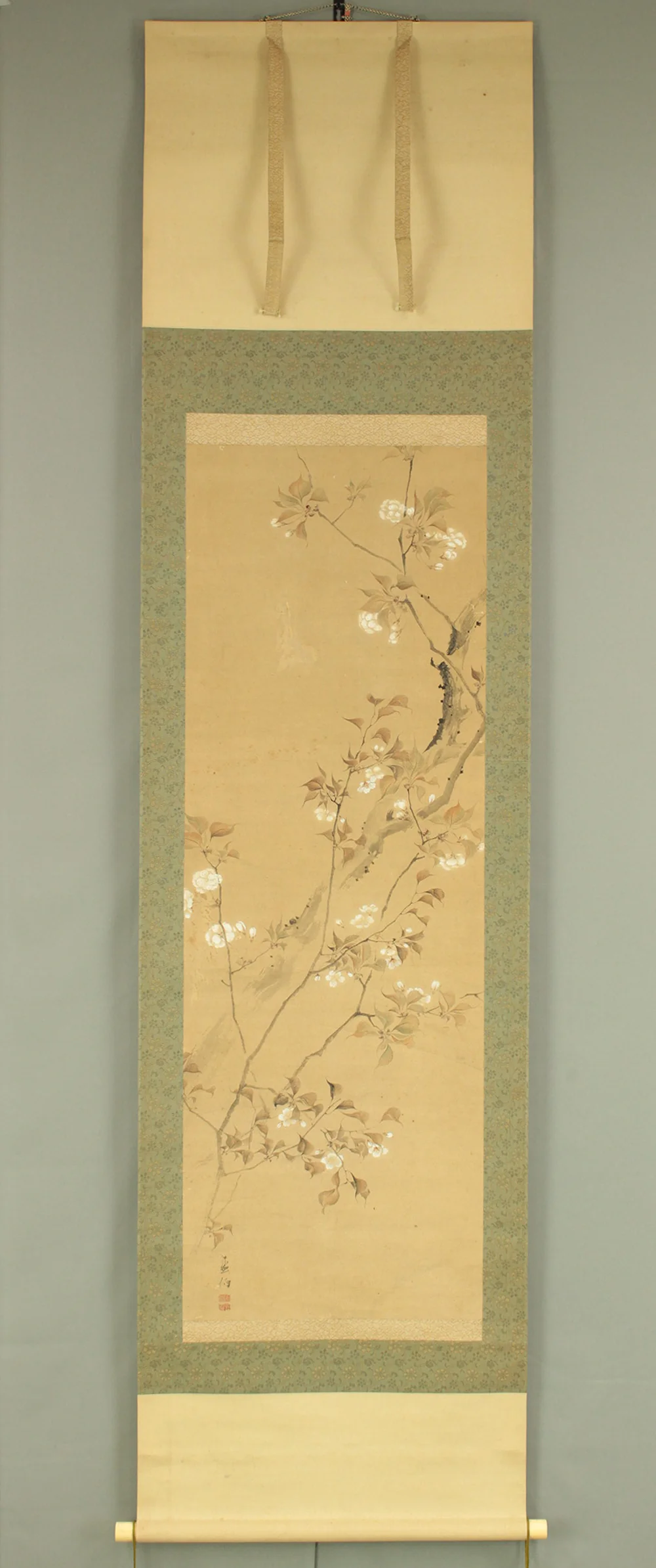 堀江有聲 Horie Yusei (1802-1873) Japanese antique art kakejiku kakemono wall hanging scroll / Cherry Blossoms Fifth Bloom with Box RD424 - Image 2