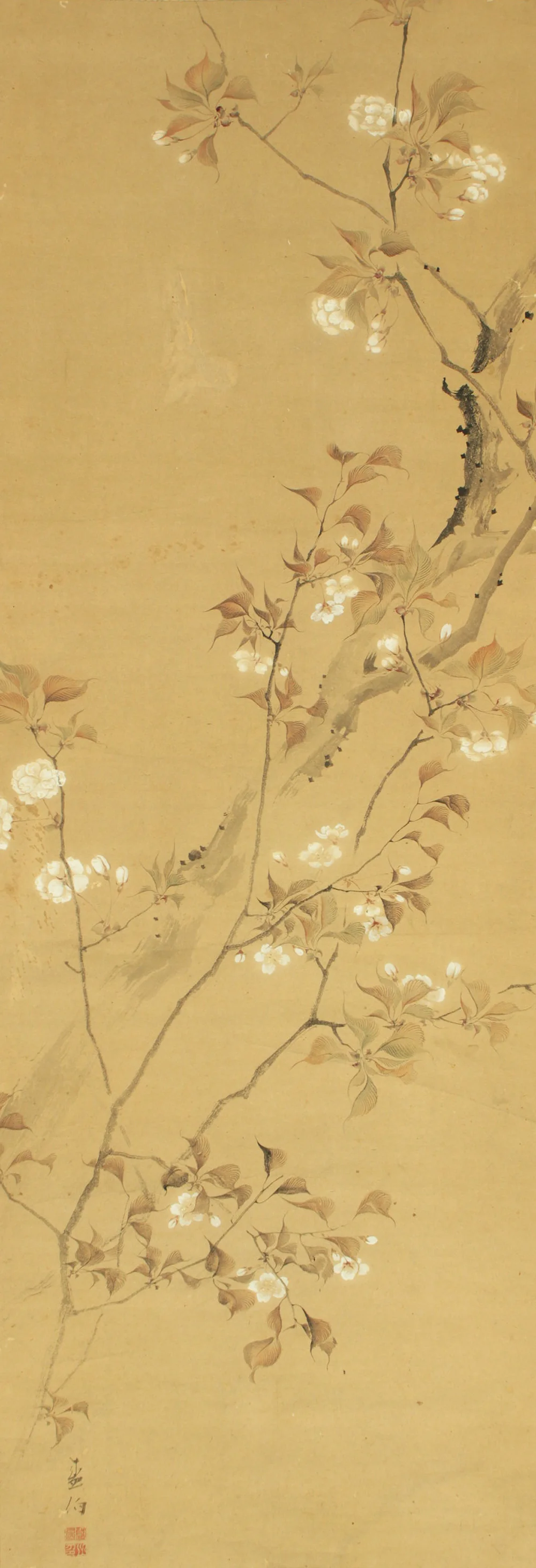 堀江有聲 Horie Yusei (1802-1873) Japanese antique art kakejiku kakemono wall hanging scroll / Cherry Blossoms Fifth Bloom with Box RD424 - Image 4