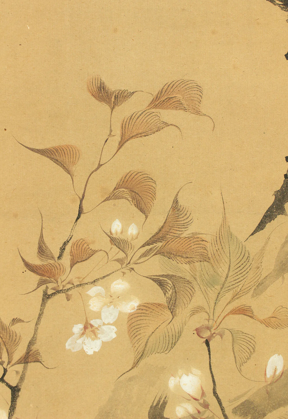 堀江有聲 Horie Yusei (1802-1873) Japanese antique art kakejiku kakemono wall hanging scroll / Cherry Blossoms Fifth Bloom with Box RD424 - Image 9