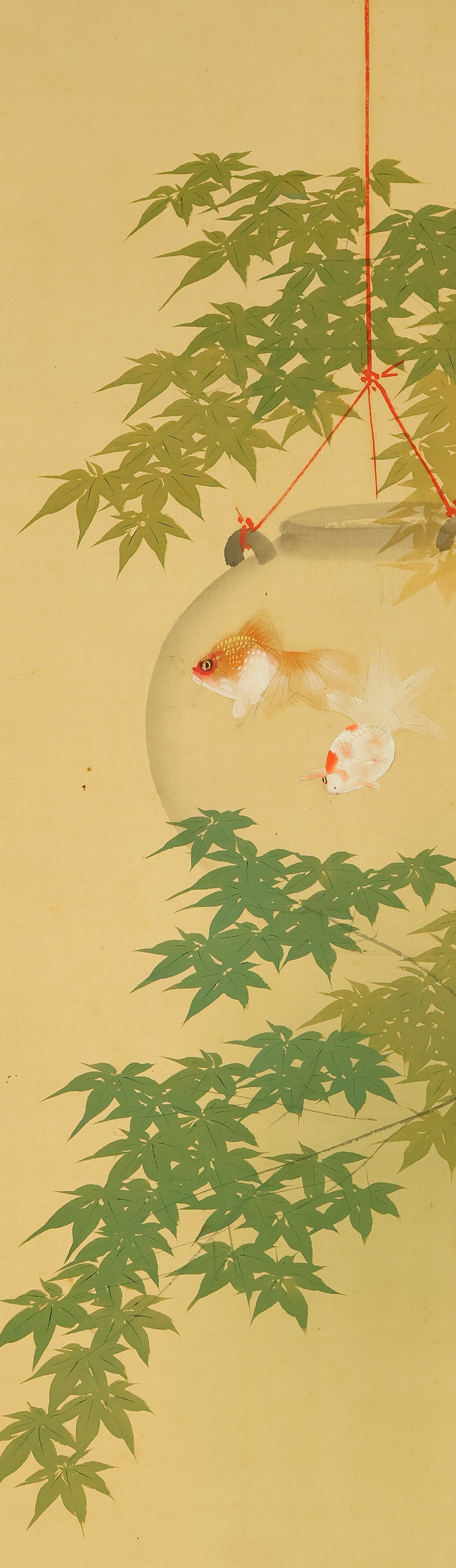 今井景樹 Imai Keiju (1891-1967) Japanese art kakejiku kakemono wall hanging scroll / Goldfish and Green Maple Tree RD989 - Image 4