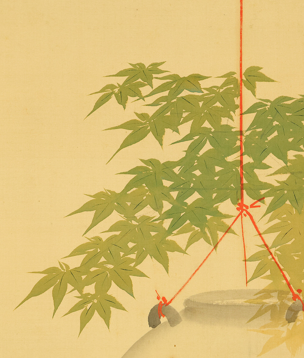 今井景樹 Imai Keiju (1891-1967) Japanese art kakejiku kakemono wall hanging scroll / Goldfish and Green Maple Tree RD989 - Image 5