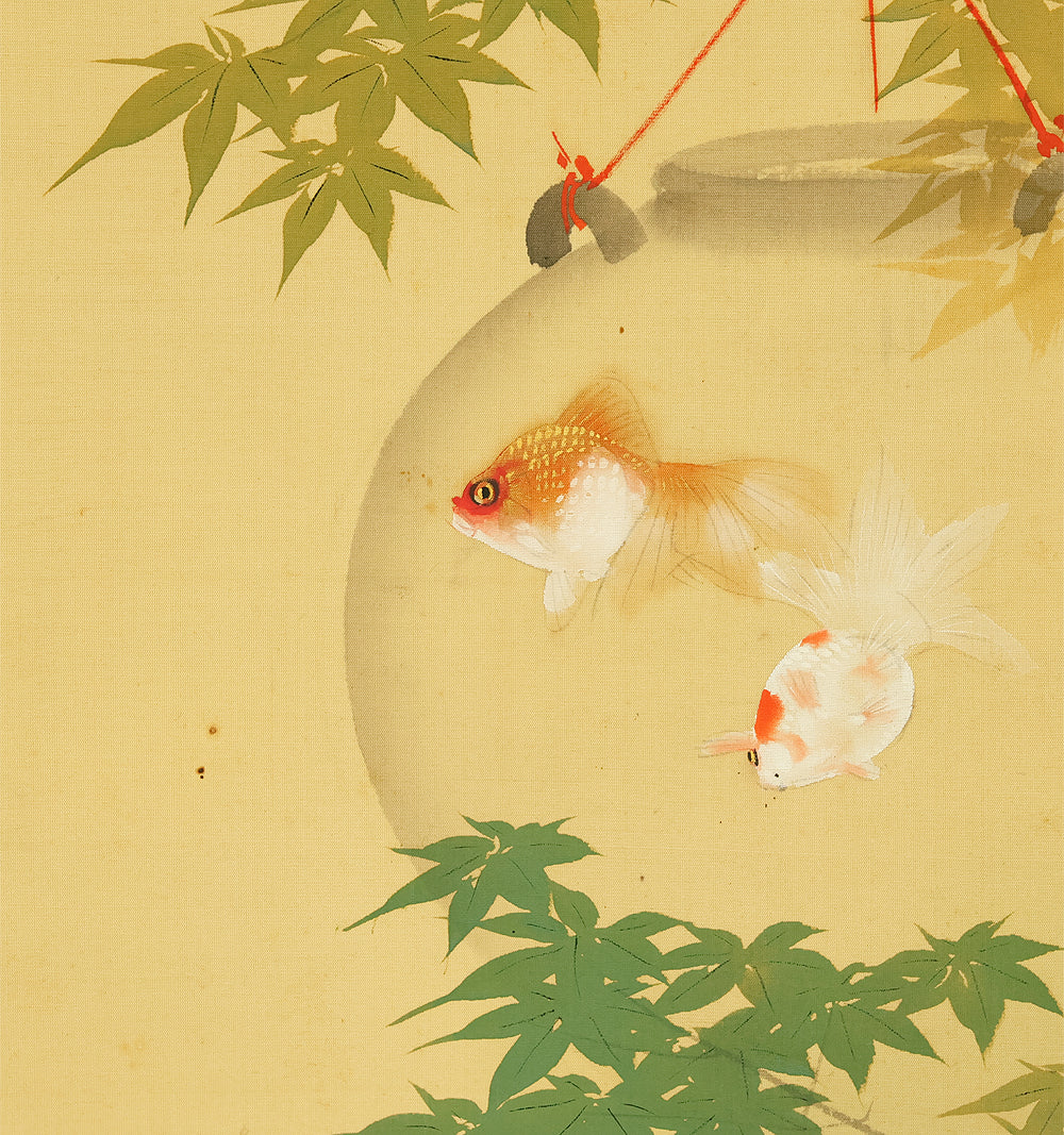 今井景樹 Imai Keiju (1891-1967) Japanese art kakejiku kakemono wall hanging scroll / Goldfish and Green Maple Tree RD989 - Image 6