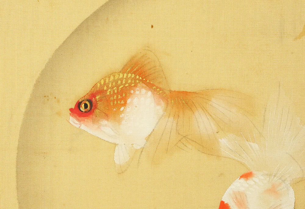 今井景樹 Imai Keiju (1891-1967) Japanese art kakejiku kakemono wall hanging scroll / Goldfish and Green Maple Tree RD989 - Image 7