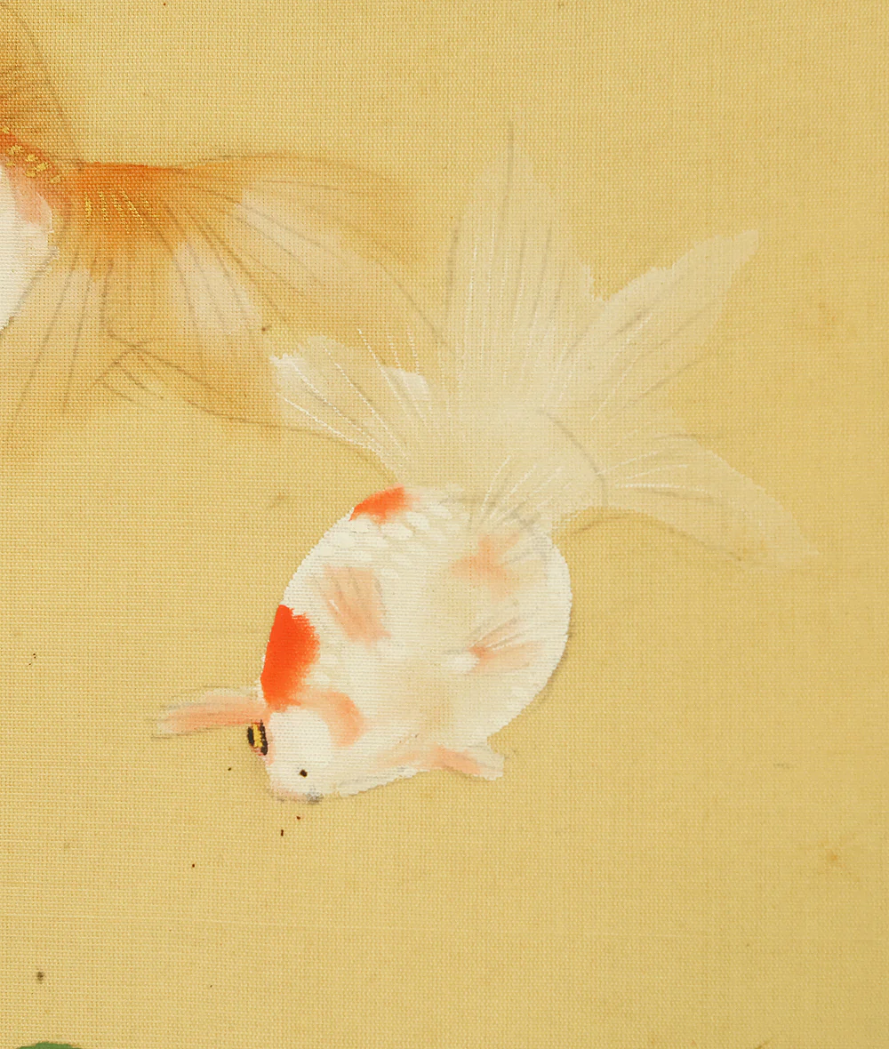 今井景樹 Imai Keiju (1891-1967) Japanese art kakejiku kakemono wall hanging scroll / Goldfish and Green Maple Tree RD989 - Image 8