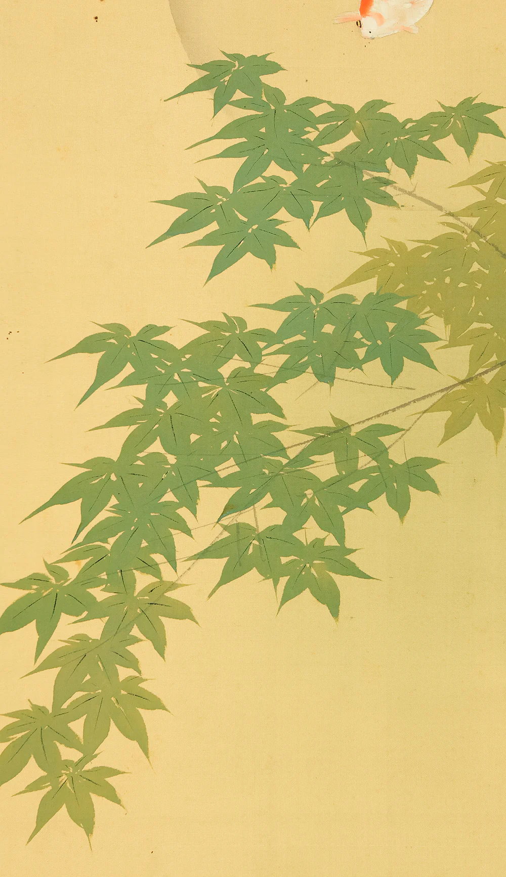 今井景樹 Imai Keiju (1891-1967) Japanese art kakejiku kakemono wall hanging scroll / Goldfish and Green Maple Tree RD989 - Image 9
